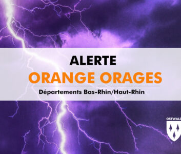 Vigilance Orange Orage