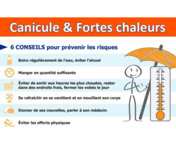Alerte canicule : adoptez les bons réflexes