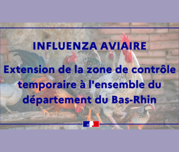Influenza aviaire : extension zone de contrôle temporaire