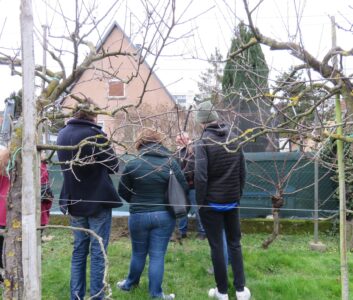 Cours de taille d’été