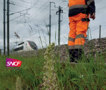 SNCF Réseau : travaux de maîtrise de la végétation