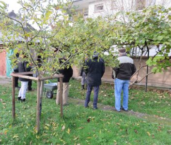 Portes ouvertes chez les arboriculteurs