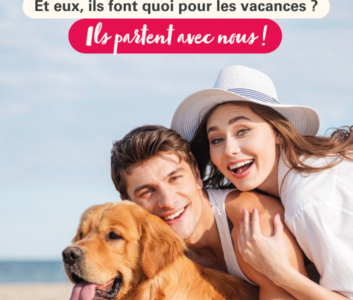 Lutte contre l’abandon de votre animal de compagnie