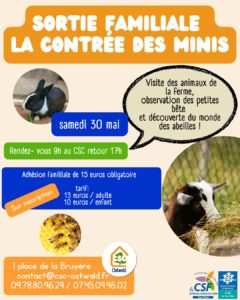 affiche sortie familiale ponctuelle la contrée des minis