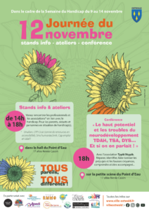 affiche du 12 novembre