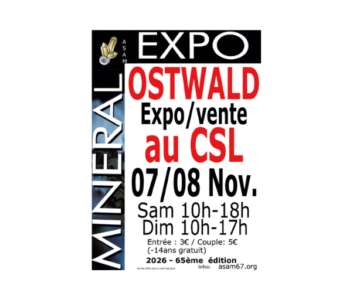 Minéral Expo à Ostwald
